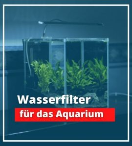 Wasserfilter Aquarium